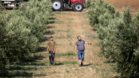 Fermierii din nordul Greciei se tem că nu vor mai avea acces la apa pentru IRIGAȚII din Bulgaria