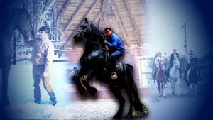 Povestea incredibilă a îmblânzitorului de cai din Parlamentul României. Deputatul a mers călare 350 km până la Alba iulia