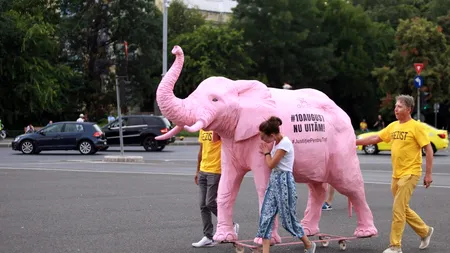 Protest cu zeci de persoane în Piața Victoriei față de tergiversarea Dosarului 10 August. „Peste tot miliție, nicăieri justiție” - FOTO