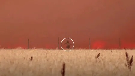 VIDEO | Imagini dramatice în Spania. Un bărbat a fost la un pas de moarte, după ce un incendiu provocat de caniculă i-a cuprins hainele