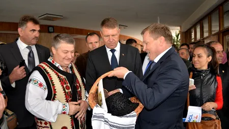 BOTOȘANI. Unde au mers banii publici în 2014. Topul firmelor care au contracte locale cu statul