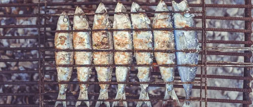 Zeci de kilograme de pește stricat, găsite de inspectori la o cherhana din Năvodari