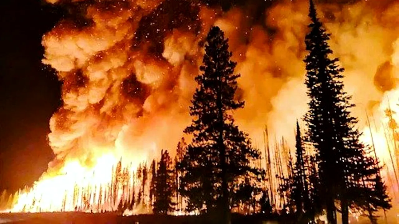 51 de morți în incendiile din CHILE/„În doar 60 de secunde am pierdut tot”