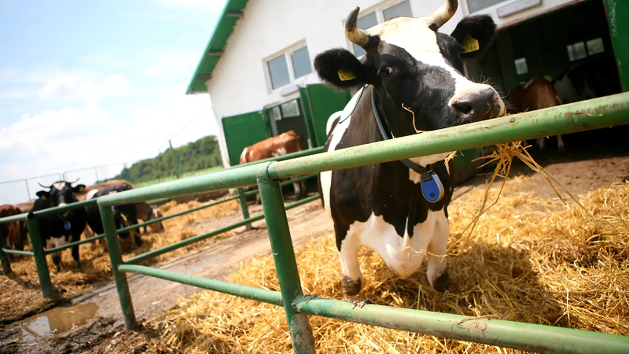 Agricultura pregătește o 