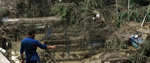 Autoritățile din Georgia caută un alt tigru fugit de la grădina zoologică