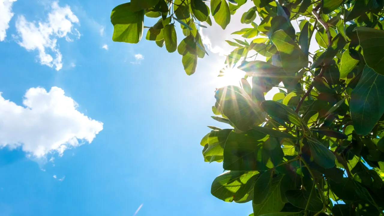 Prognoza meteo actualizată. Cum va fi vremea în următoarele patru săptămâni