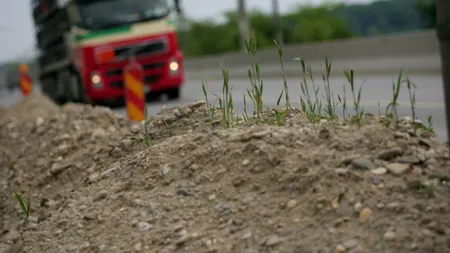 Motivul pentru care transportatorii români alimentează cu carburant din Ungaria: 