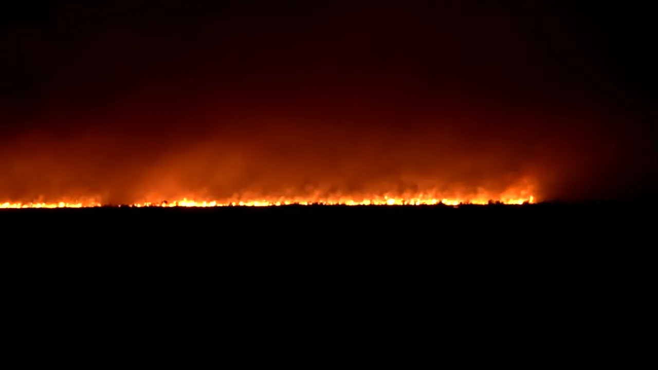 Un puternic incendiu a izbucnit în zona Vadu. Au ars peste 200 de hectare de vegetație