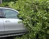 Cod ROȘU de vijelii, grindină și ploi torențiale în București. A fost transmis mesaj de avertizare RO-Alert / O femeie a murit, în Otopeni