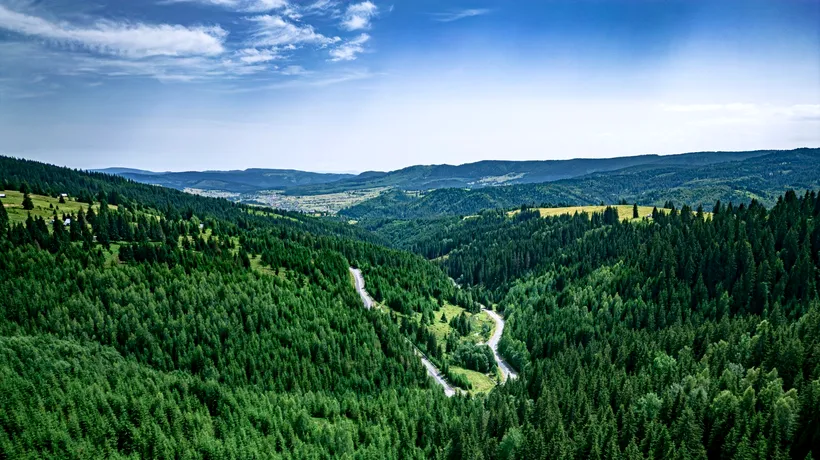 Bilbor, biodiversitate UNICĂ în România