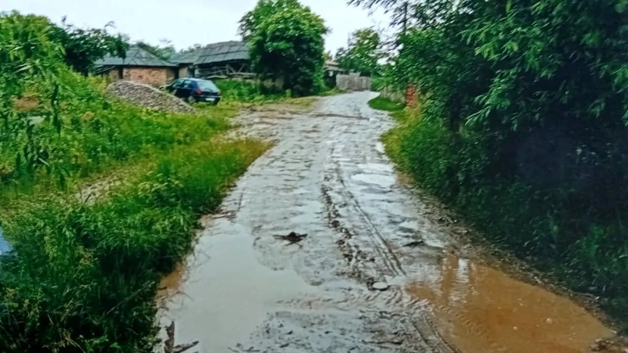 Primărie din Bacău, OBLIGATĂ să asfalteze o stradă. Cum a reușit un bărbat să convingă autoritățile să intervină
