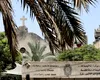 Italia și Vaticanul CONDAMNĂ atacul armatei israeliene asupra unei biserici din Gaza /Israelul regretă incidentul