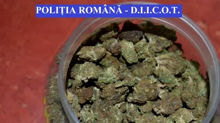 Scandalul „Ayahuasca