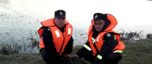 Imagini emoționante în România: O lebădă rănită, salvată de pe un lac înghețat