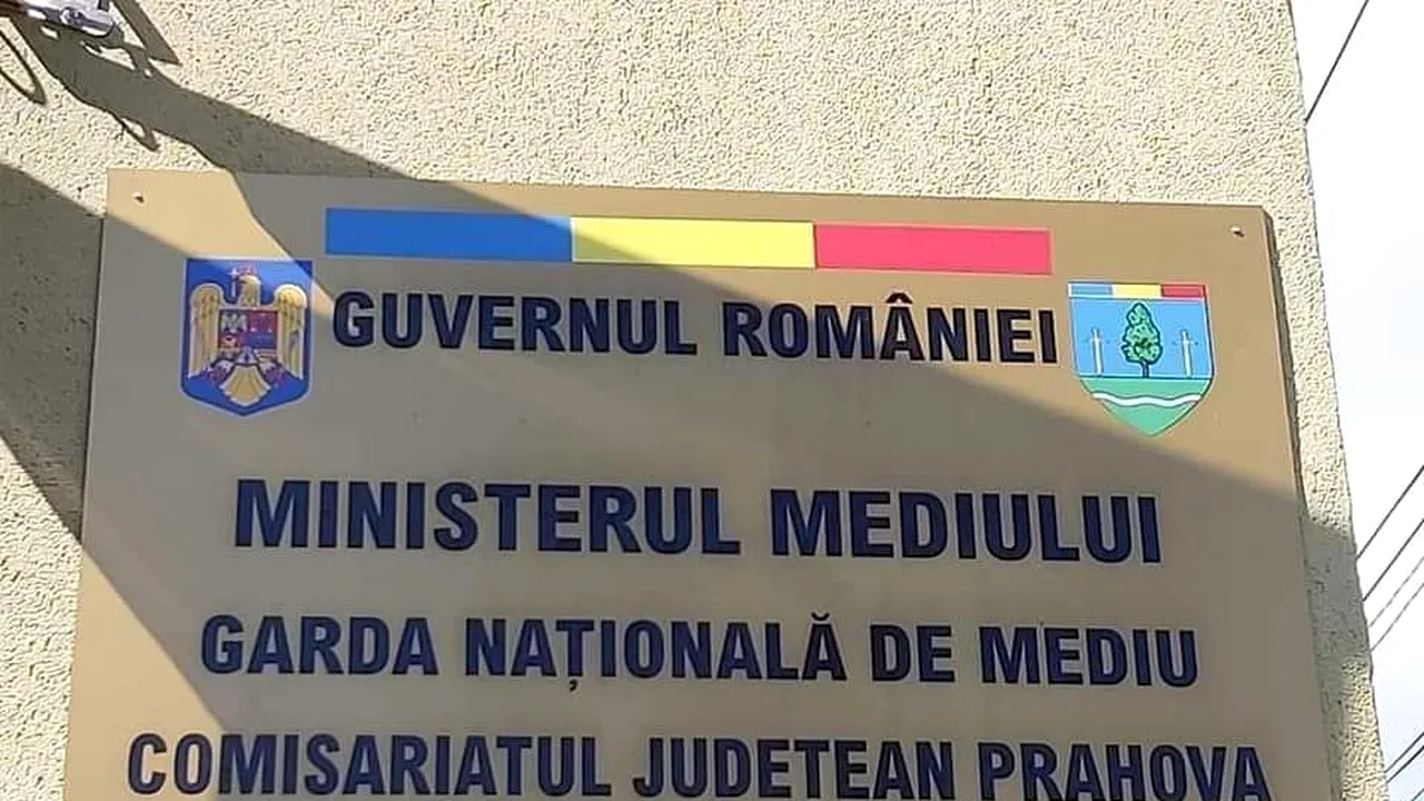 Amendă uriașă pentru o fermă de păsări din Prahova. Ce au descoperit inspectorii Gărzii de Mediu
