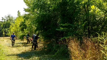 Zeci de beneficiari de venit minim garantat, apți de muncă, obligați să curețe parcurile și piețele din Cluj. Ce se întâmplă dacă refuză