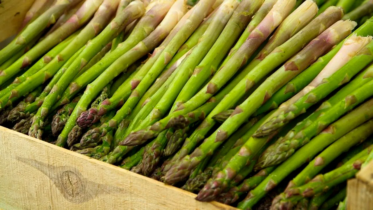 REVOLTĂ. Românii de la o fermă de sparanghel din Germania au început să se certe şi între ei: „Îţi vei găsi familia în scaun cu rotile“