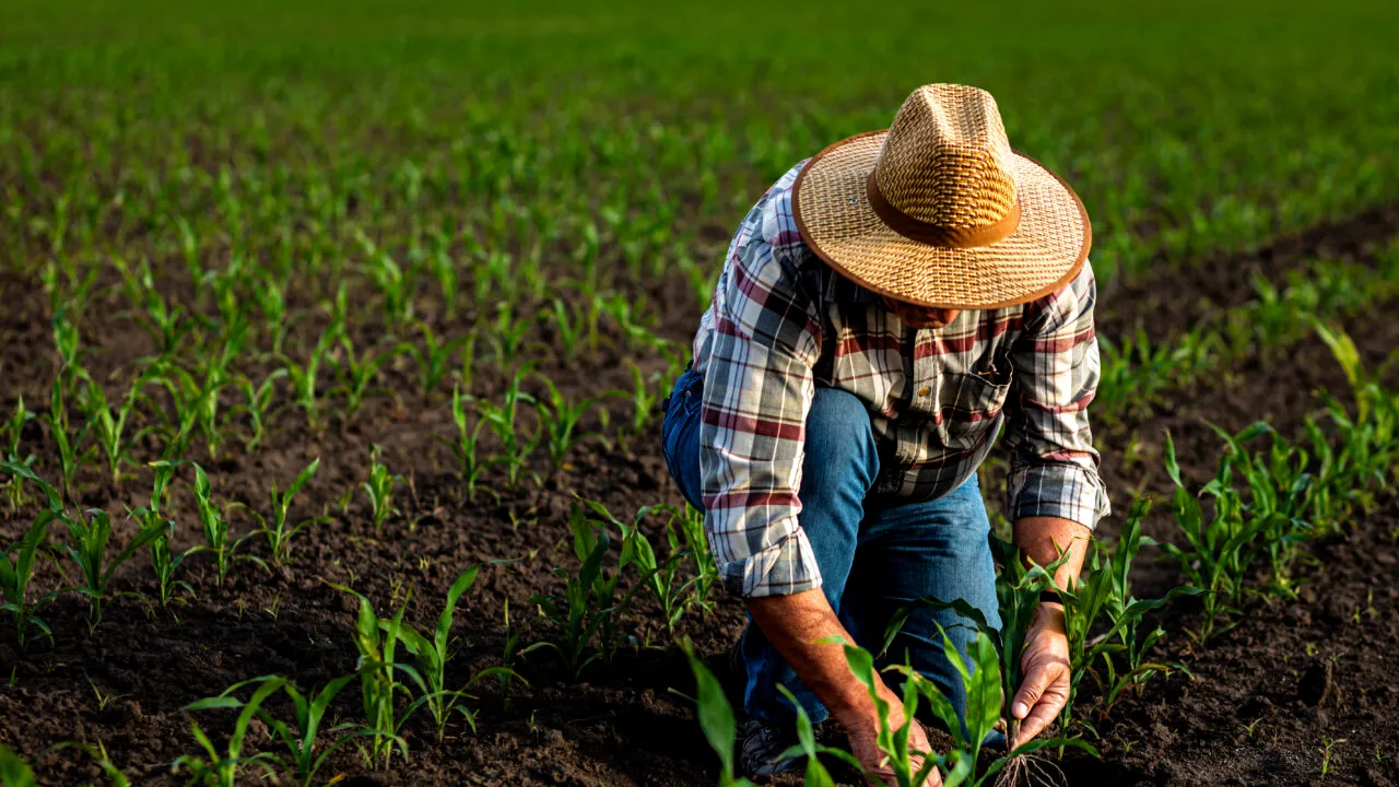 Atenție, fermieri. Anunț urgent despre subvențiile pe hectar și animale. Ce se întâmplă de mâine, 16 martie