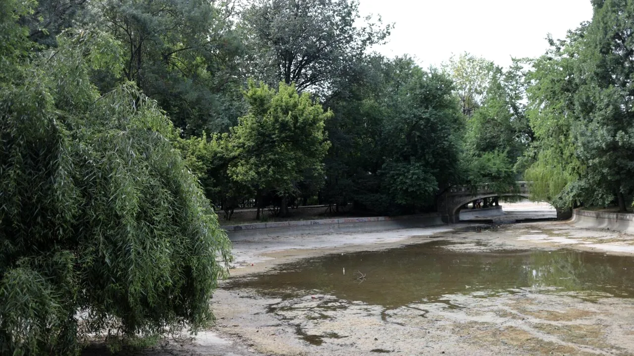 De ce a fost secat lacul din Cișmigiu: „Au fost puse în siguranță viețuitoarele sălbatice, precum păsări sau șerpi” | GALERIE FOTO