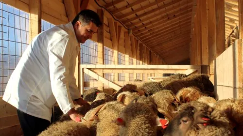 Șeful ANSVSA a verificat locația unde vor sta cele 180 de oi care și-au câștigat dreptul la viață