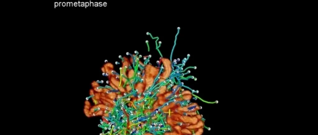 Microscopul care le permite oamenilor de știință să vadă lumea așa cum nu au văzut-o niciodată