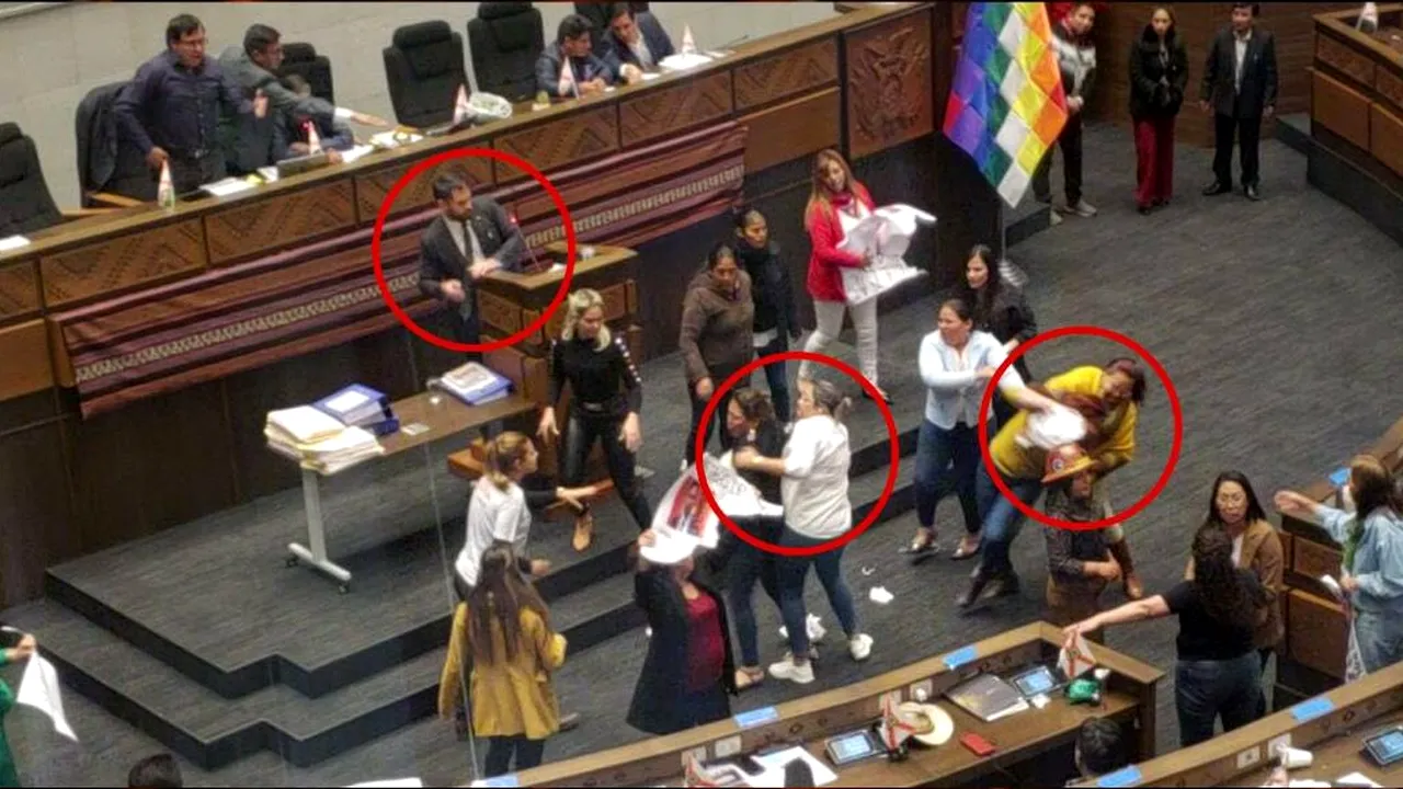 Scandal de zile mari în Parlamentul Boliviei! Mai multe deputate s-au tras de păr și s-au bătut cu pumnii și picioarele. De la ce a pornit totul