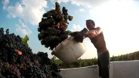 Echinocțiul de toamnă va avea loc 22 septembrie - INFOGRAFIC