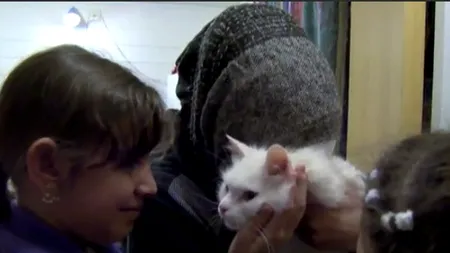 Povestea lui Kunkush, pisica unei familii de refugiați, care a mobilizat mii de oameni pentru a ajunge acasă