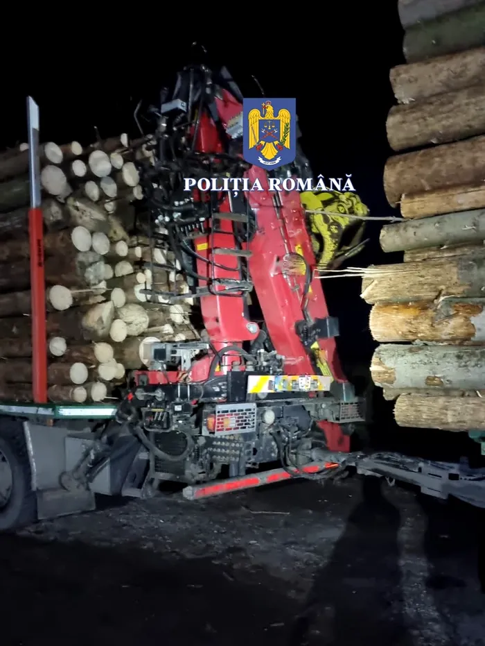 FOTO-VIDEO - Percheziții de amploare la „mafia lemnului”. Procurorii și polițiștii au descins în 17 ocoale silvice, dar și la zeci de adrese ale unor persoane suspectate că au tăiat ilegal arbori