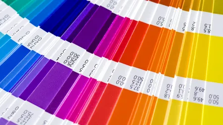 A fost aleasă culoarea anului 2017. Ce semnificație are aceasta