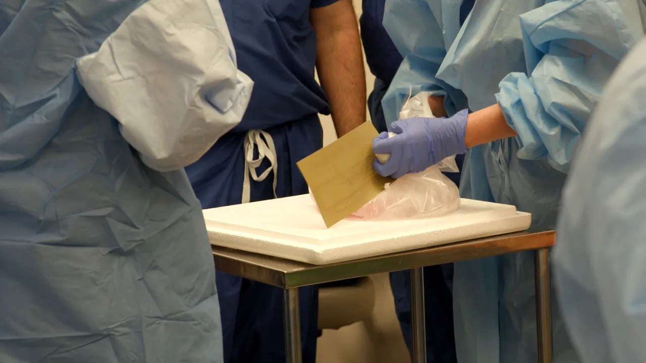 Parcagiul-chirurg italian, dat pe mâna Poliției de Adina Alberts: Te inducea în eroare în discuții. Cât de ușor a obținut PARAFA