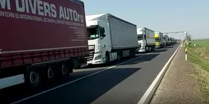 Leguma cultivată în România, care se VINDE foarte bine în străinătate. TIR-uri din Polonia, Ungaria și Austria stau la coadă pentru a încărca marfa