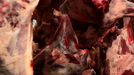 Compania care a devenit suspectul-cheie în scandalul european al cărnii de cal