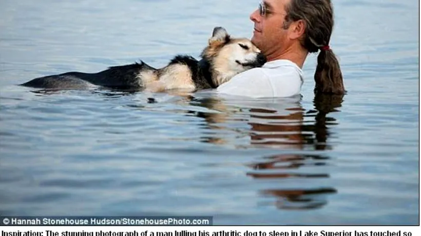 GALERIE FOTO. Ce s-a întâmplat cu câinele care a emoționat milioane de oameni. Nu am mai văzut niciodată așa ceva