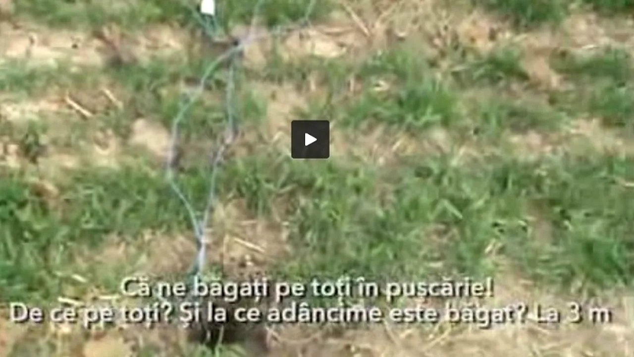 Cum s-a luptat tanti Zali cu gazele de șist