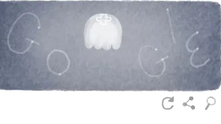 ZIUA PĂMÂNTULUI. PASĂREA COLIBRI, MACACUL  JAPONEZ, CAMELEONUL, PEȘTELE-BALON și MEDUZA, sărbătorite de Google de ZIUA PĂMÂNTULUI