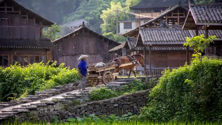 Povestea pensionarului care se luptă cu RECHINII IMOBILIARI. Refuză să își vândă casa chiar și după ce l-au înconjurat cu un parc industrial