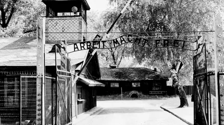 Un artist suedez, dat în judecată după ce a pictat un tablou cu cenușă furată dintr-un lagăr nazist