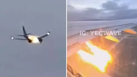 Un iepuraș, la un pas să provoace o catastrofă aviatică în SUA. Animăluțul a fost aspirat la decolare de un Boeing