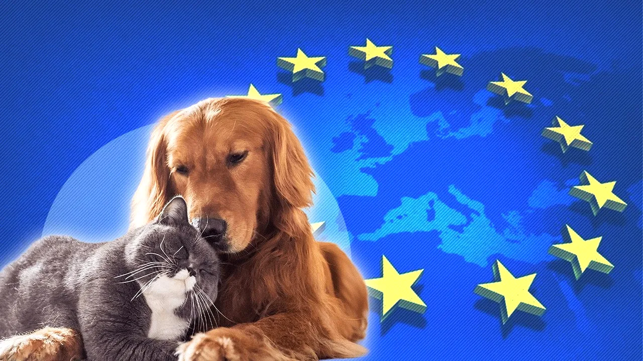 Uniunea Europeană impune reguli noi pentru proprietarii animalelor de companie. Ce măsuri devin obligatorii