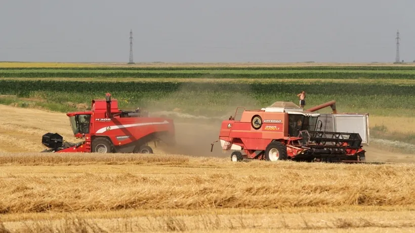 Egiptul a cumpărat cu peste 15 milioane dolari 60.000 tone de grâu din Romania
