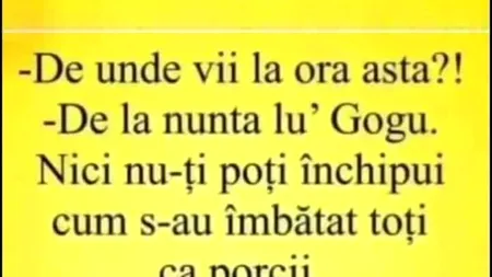 BANCUL ZILEI | Nunta lui Gogu