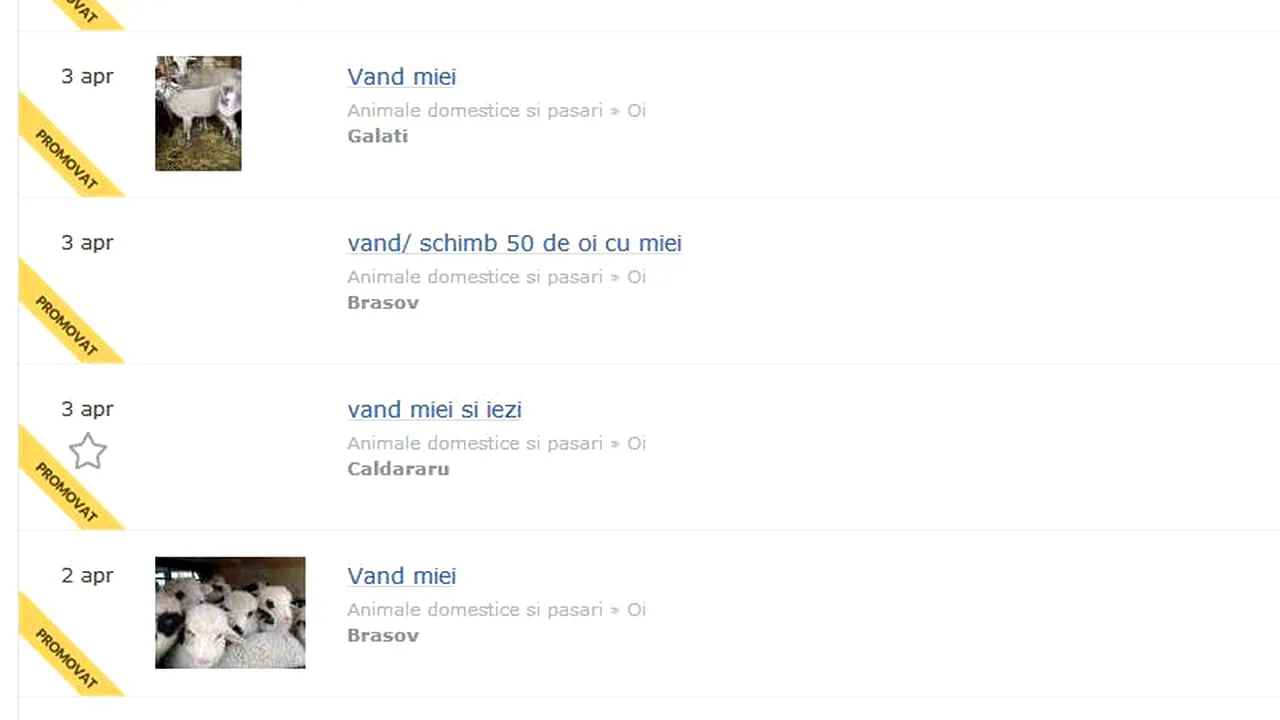 OFERTE PAȘTE 2015. Aproape două mii de miei, de vânzare pe un site de anunțuri din România