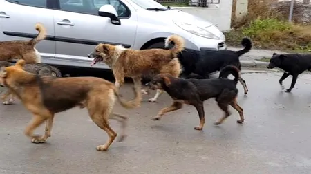 Orașul mare din România 