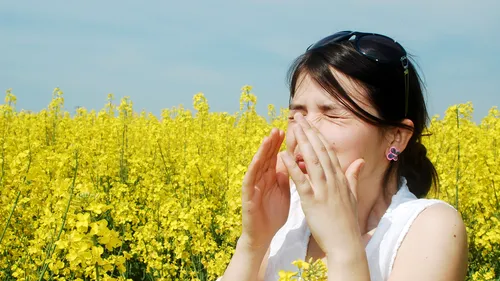 Oamenii de știință cred că au găsit leacul alergiilor. Când ar putea încep testele de laborator