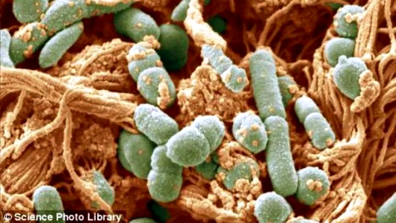 Ce efect incredibil are usturoiul asupra sănătății