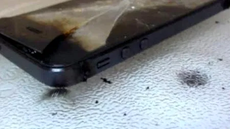 Utilizatori de iOS 8, păcăliți din nou. Ce a făcut un deținător de iPhone imediat după ce a instalat noua versiune a sistemului de operare