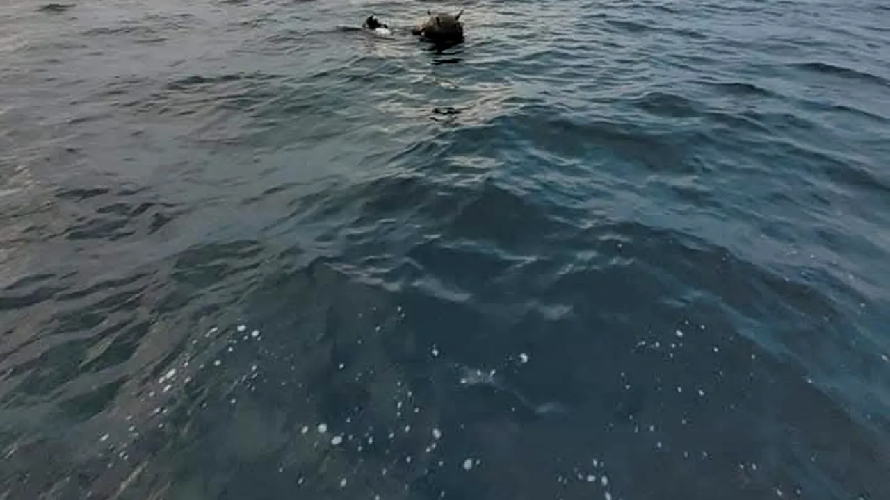 Minele în derivă din Marea Neagră încaieră Ambasada Rusiei și MApN. Rușii arată cu degetul spre Ucraina