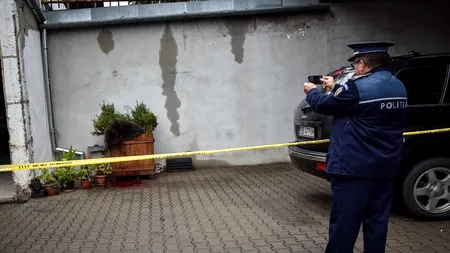 Dovada incompetenței în cazul uciderii ursului din Sibiu. Godină povestește momentul incredibil: „Pare un film cu proști. Film nu e. Cu proști da