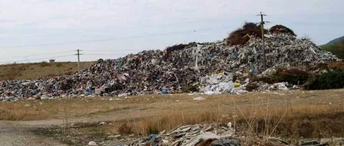 La groapa de gunoi a orașului Deva, o femeie a făcut o descoperire macabră